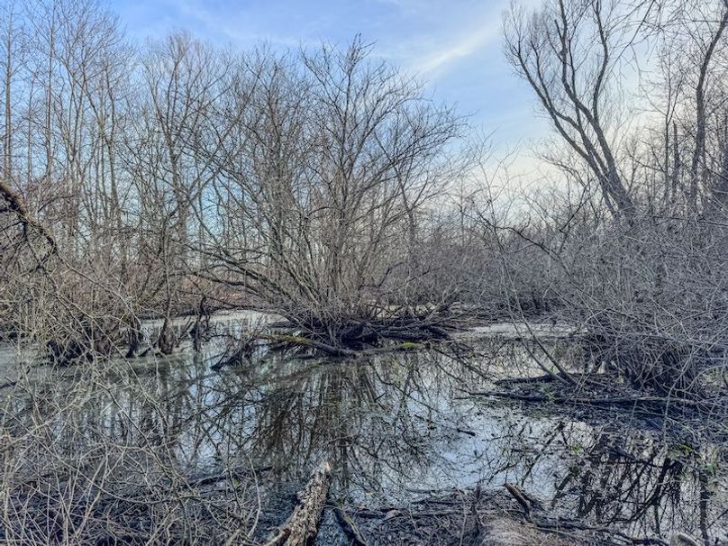 Phillips 8.5 Trahan -31