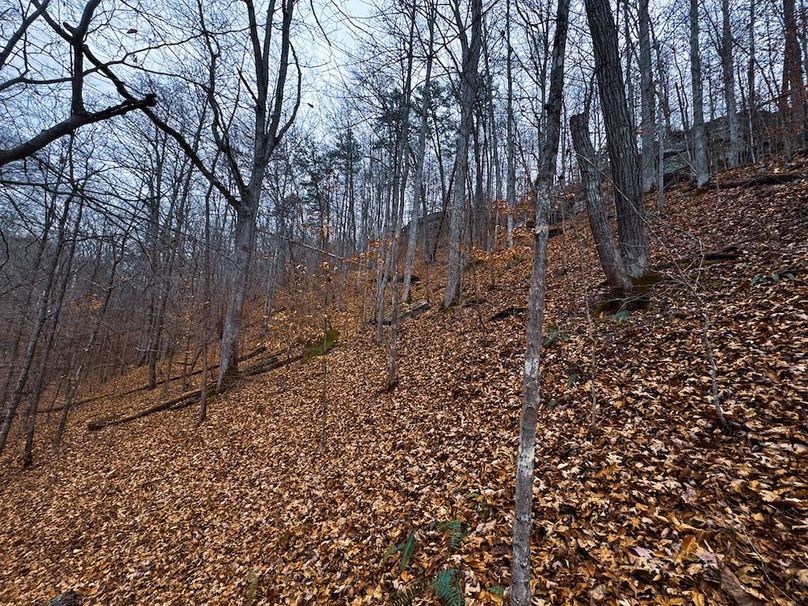 Ritchie, WV 100 AC Harper-34