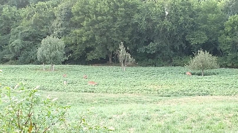 IMG_20170805_202126938