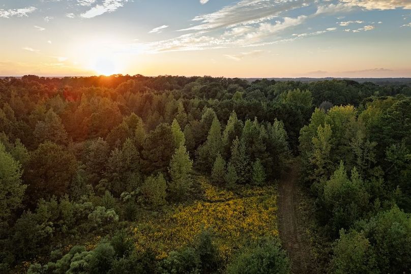 59 DJI_20251007185017_0490_D