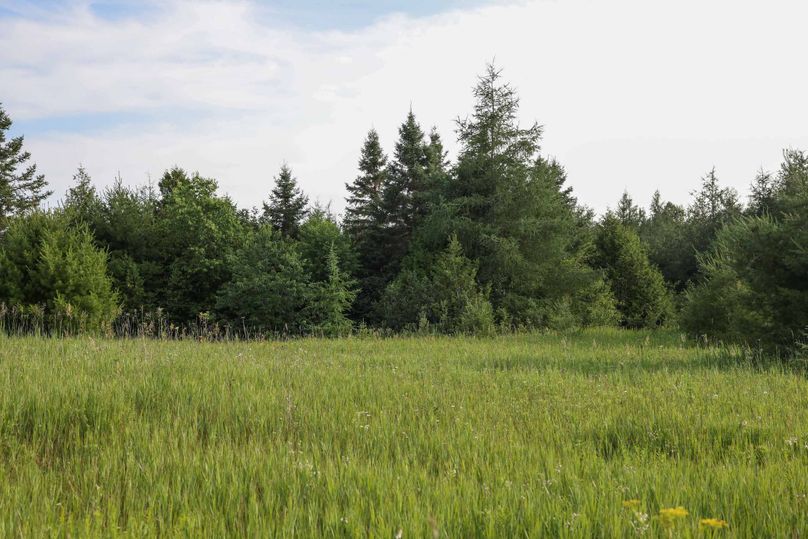 Mackinac20Fewins-6042