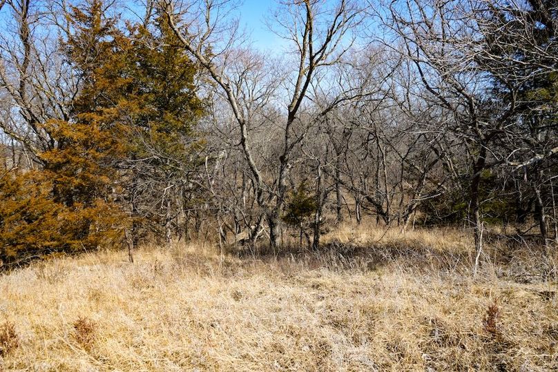 Ottawa Co, 199.7_070