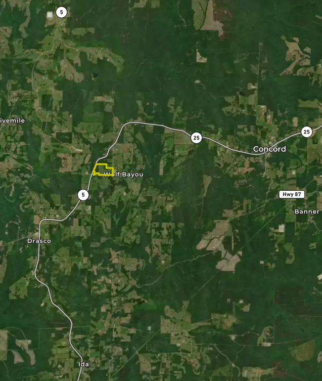 Screenshot 2025-07-30 at 12.05.03 PM