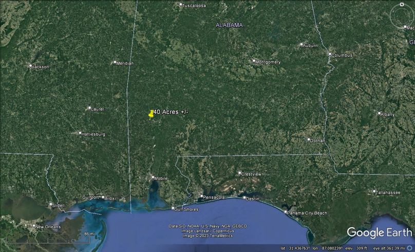 Aerial #8 Approx. 40 Acres Washington County, AL