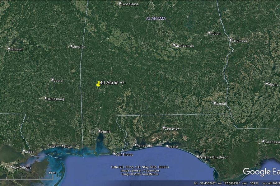 Aerial #8 Approx. 40 Acres Washington County, AL