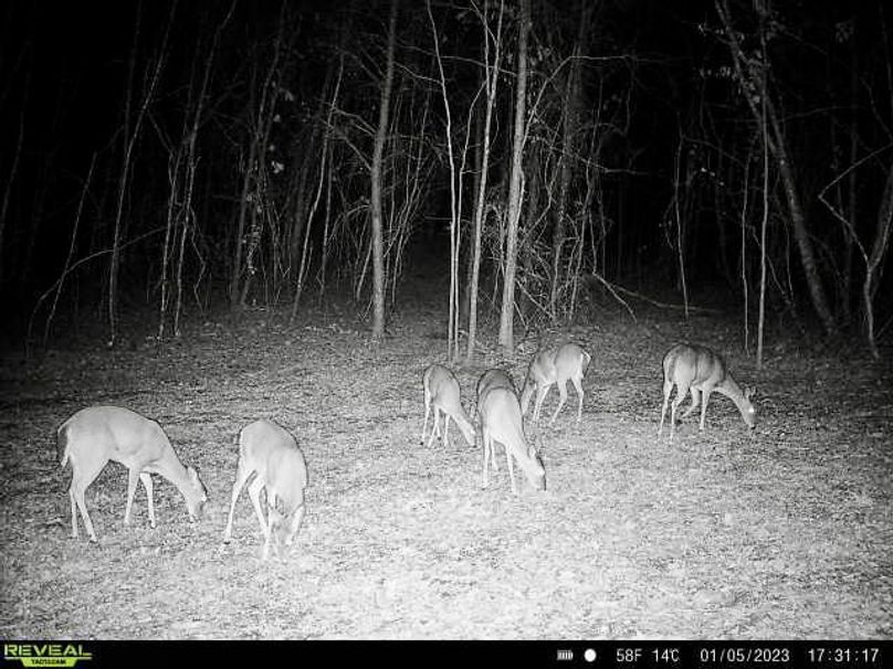 c70e9f7d-82ce-4842-aca5-3bc029b00e05