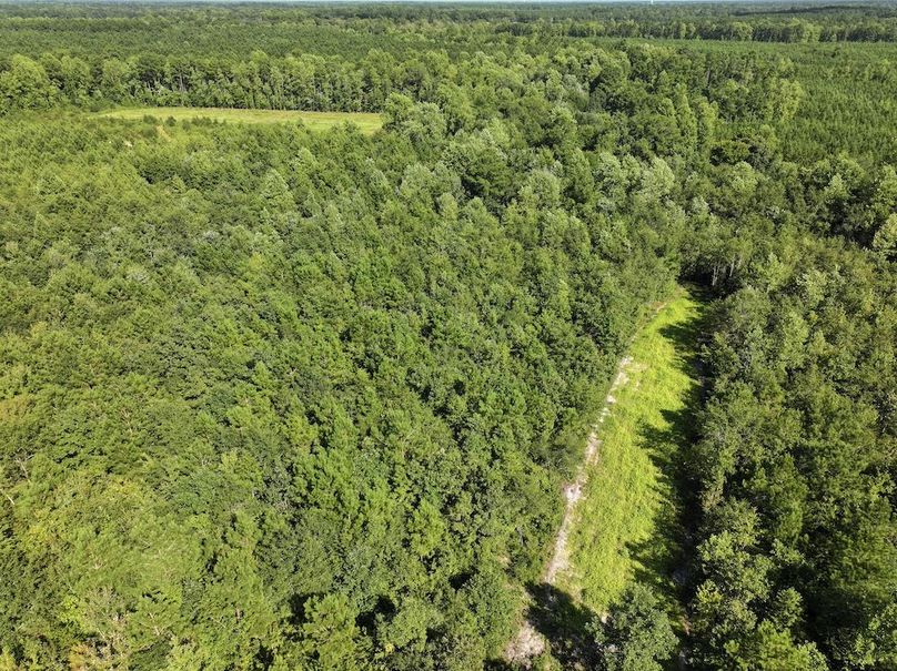 DJI_20240820164113_0020_D