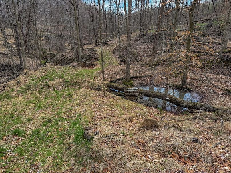 Wirt, WV 156.941 AC Full-10