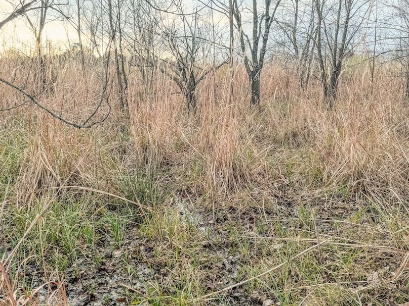 Monroe 80 Driver Dixon (Final Frontier) -09