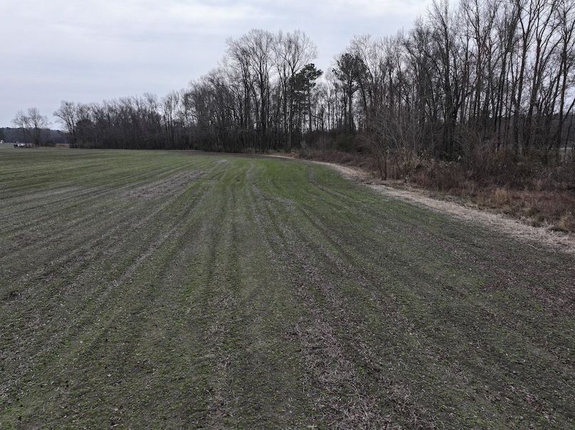 DJI_20260213134341_0511_D