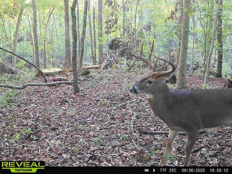 865814048504425-70-2-09262025185912-HD-W1002405