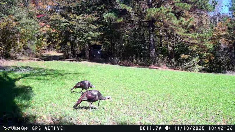 Claiborne Co - 274 - Marian-030