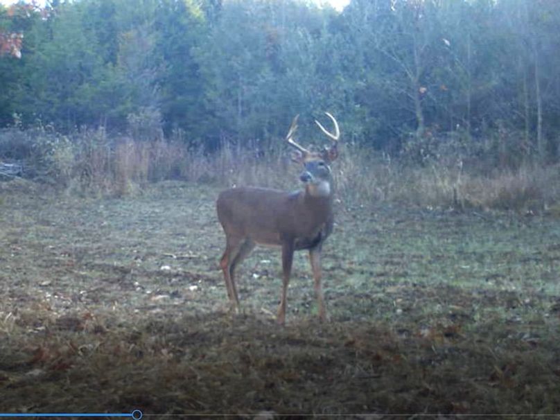 Screenshot 2024-03-02 135126