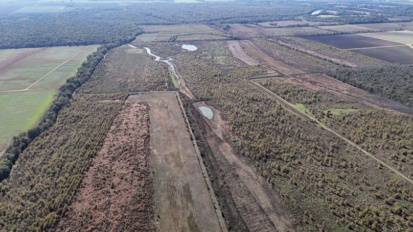 DJI_20251123011011_0937_D