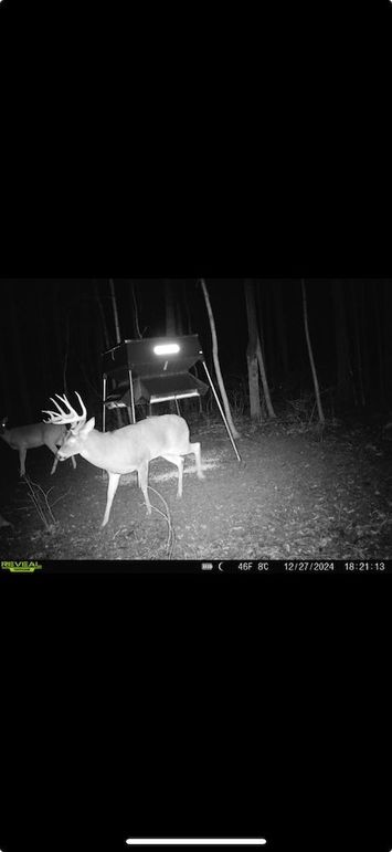 Screenshot 2026-01-09 at 12.45.48 PM