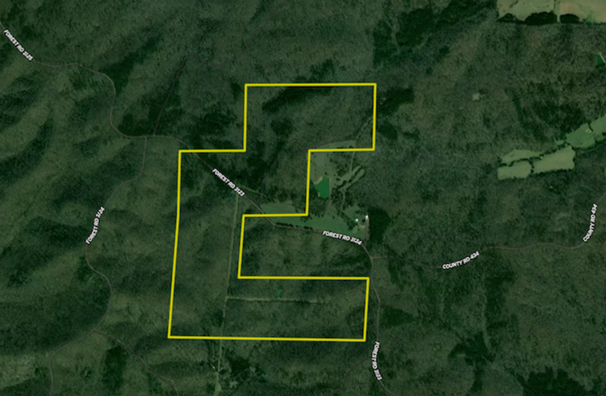 Screenshot 2025-01-22 at 8.08.14 AM