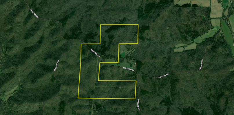 Screenshot 2025-01-22 at 8.08.14 AM