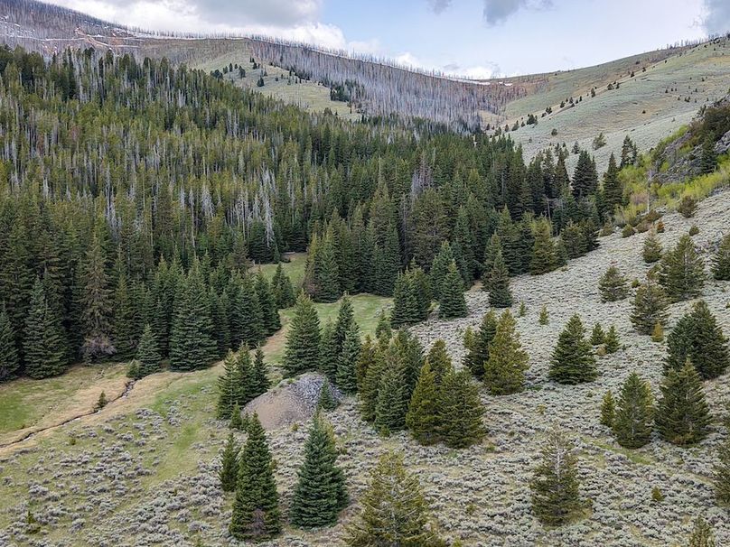 20250604105242_0094_D