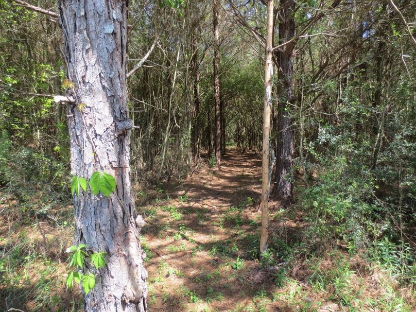 C781BA44-ADD5-4AE4-B463-ECAF1C564E90_1_105_c