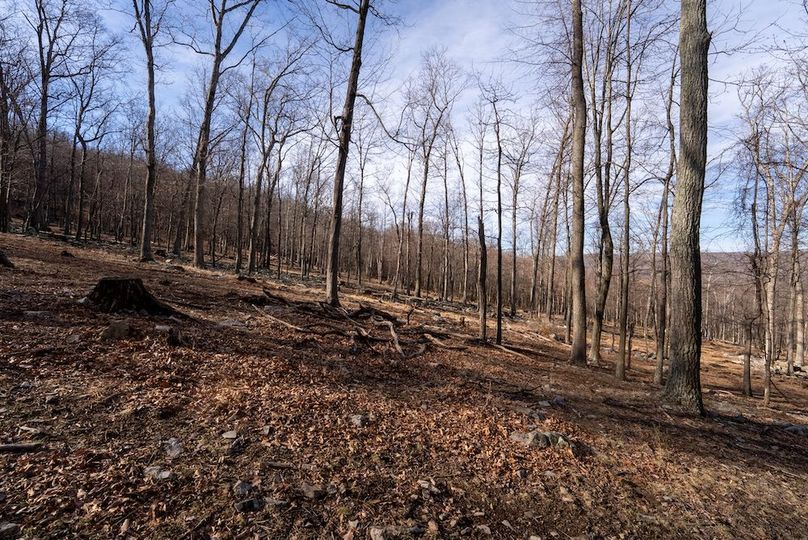 Copy of Hampshire WV 200 Featured_Pro Photo-9