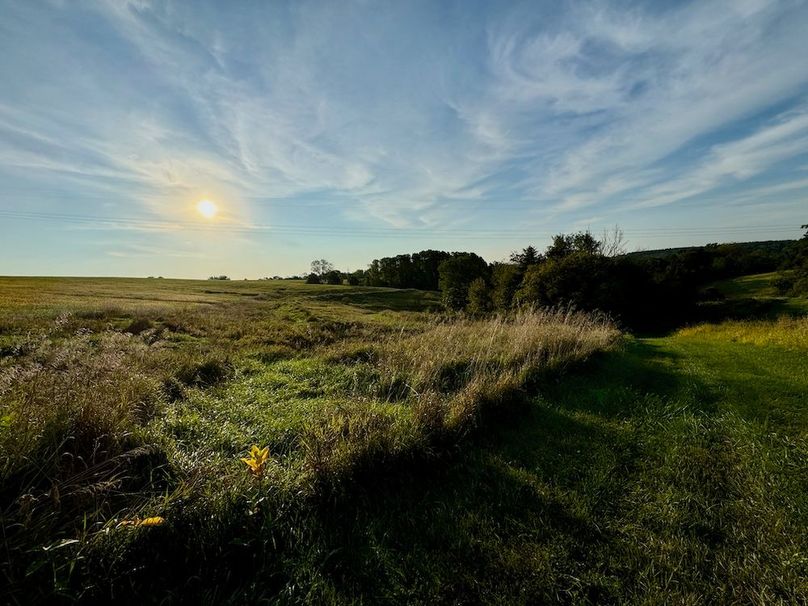 Richland 199Ground - 26