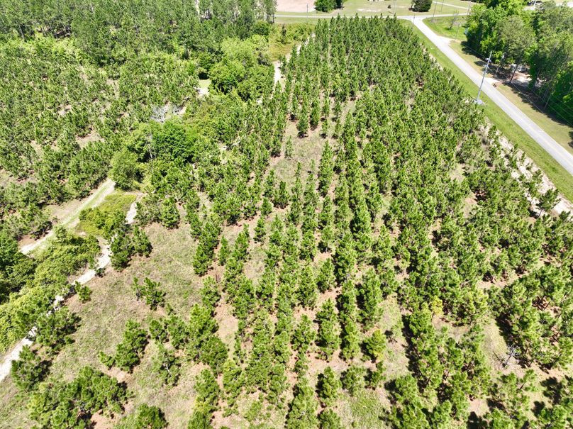 dji_fly_20230419_125150_299_1681923453057_photo