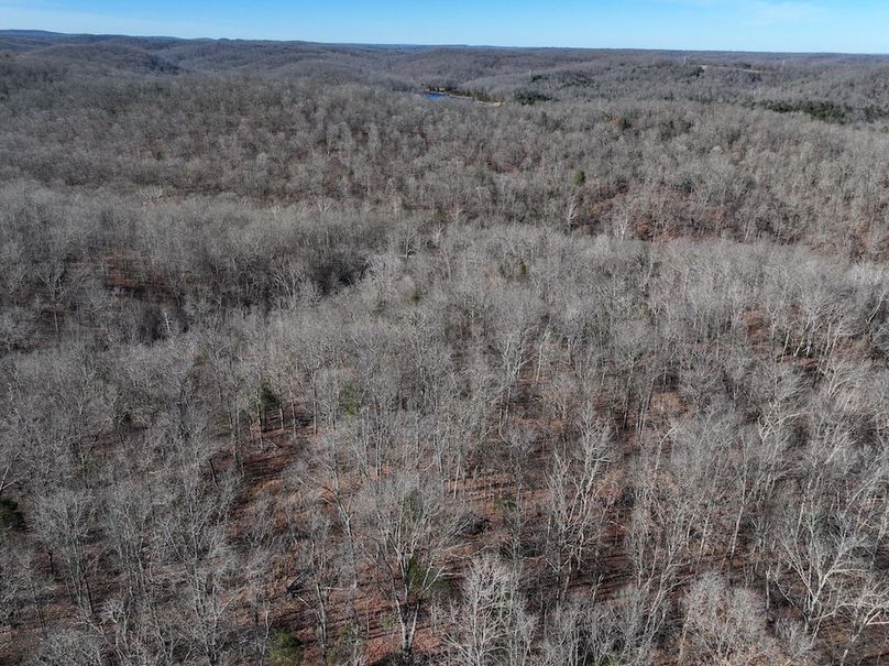 DJI_20251219114145_0898_D