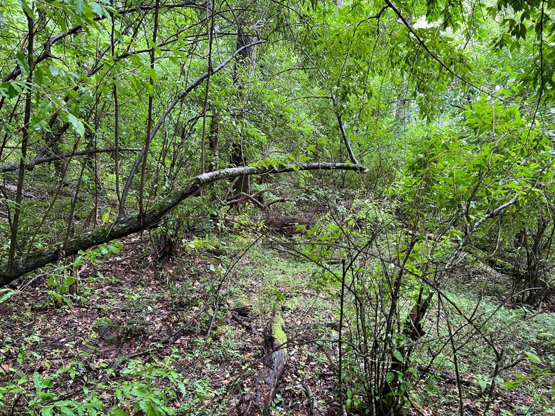 Wirt, WV 150.75 AC Tinnell-05