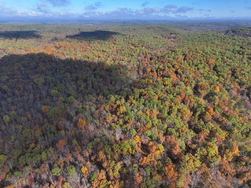 DJI_20251102094155_0812_D