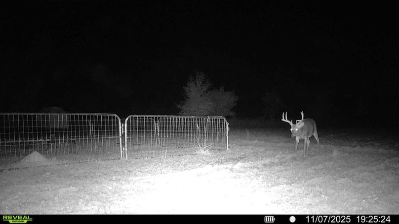 016579000474077-100-3-11072025202257-HD-SYFW00710