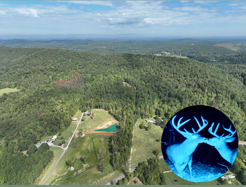 Calhoun 50 Skaggs 1 Blend