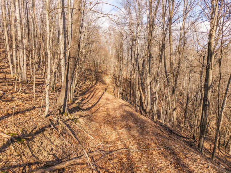 DJI_20260121110304_0030_D