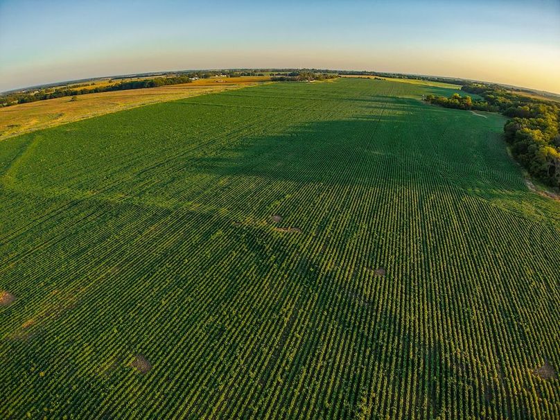 DJI_20250816071546_0750_D