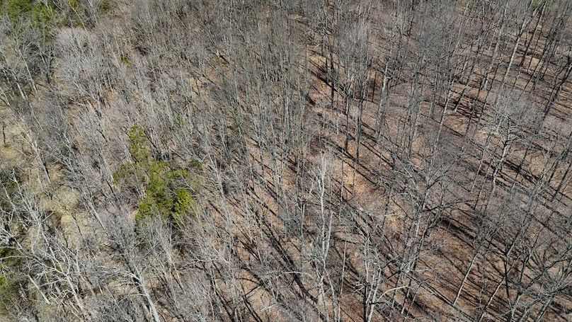 DJI_20260324123652_0139_D