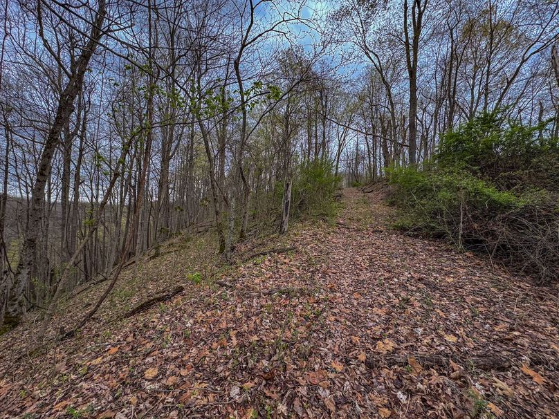 Wirt, WV 39.564 AC Full-18