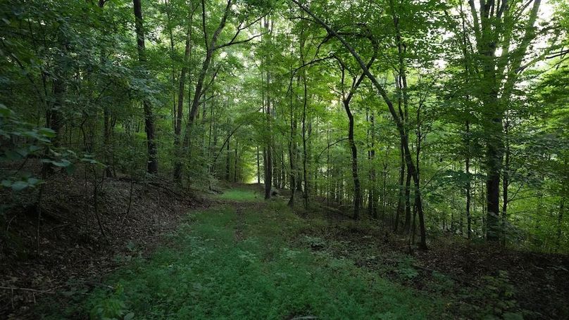 Copy of Copy of DSC04986