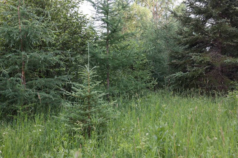 Mackinac20Fewins-6107