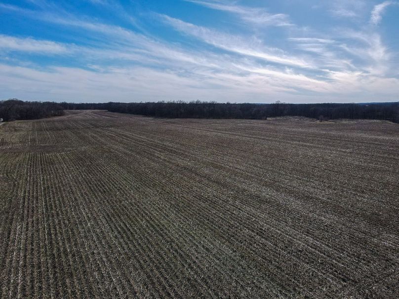 vandalia 450 (2)-2239