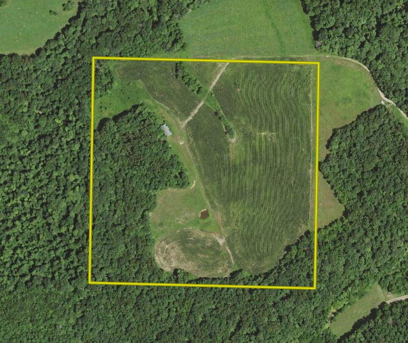 Screenshot 2024-09-04 at 7.43.21 AM