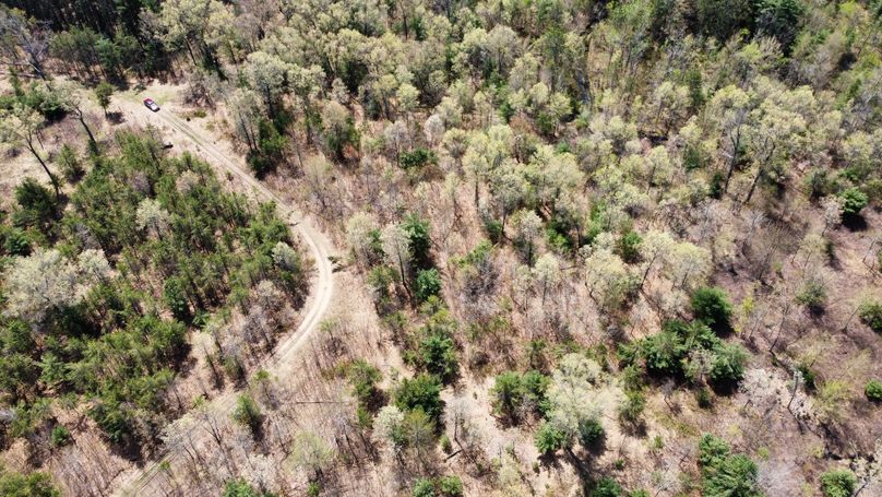 dji_fly_20230511_113952_446_1683838305392_photo_optimized