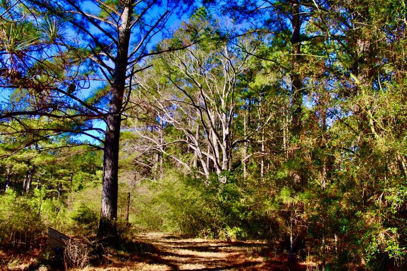 A616240A-C1FB-497E-B692-2A8D66DB21D0_1_201_a-2