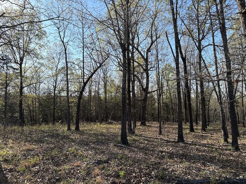 DJI_20260409_090414_536