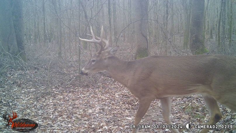 trail cam34