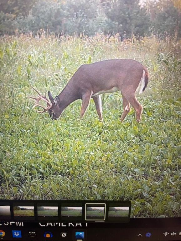 68472222882__FBC965BD-68AB-4F0A-975D-A6B77C48B429