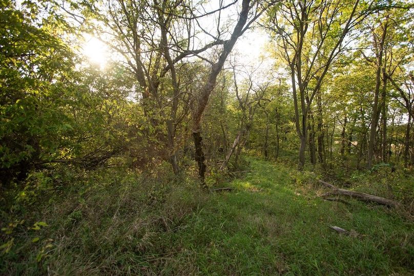 Copy of POTTAWATTAMIE CO IA 311 TRACT 3_24