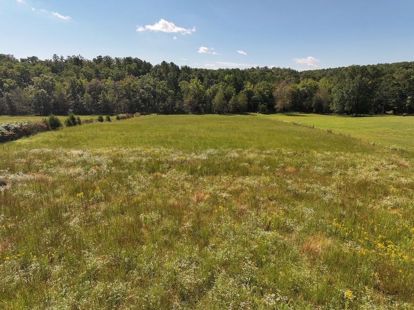 DJI_20240925113307_0228_D