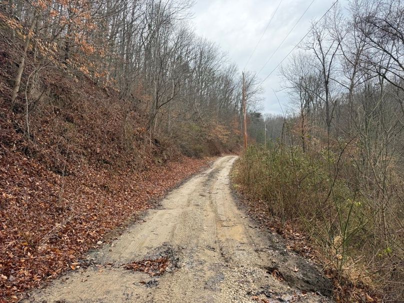 013 the driveway leading back to the center of the property