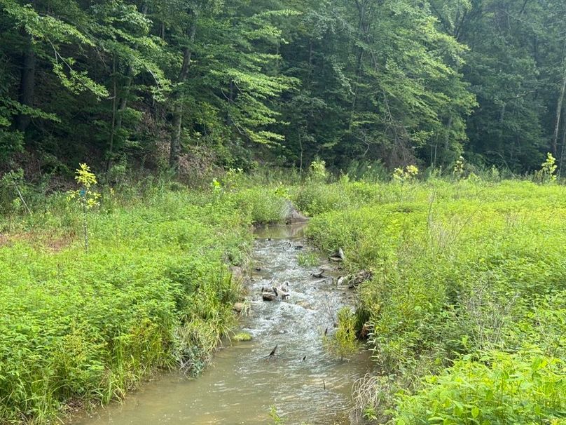 023 main stream area in the middle part of the property