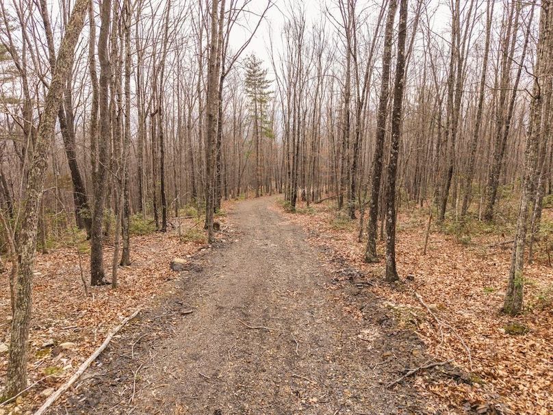 DJI_20260304160435_0032_D