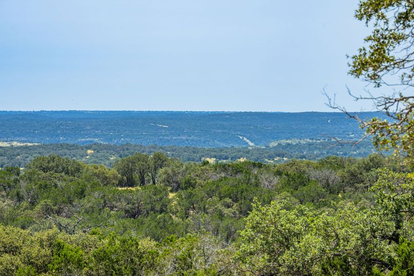 2-web-or-mls-DSC08191